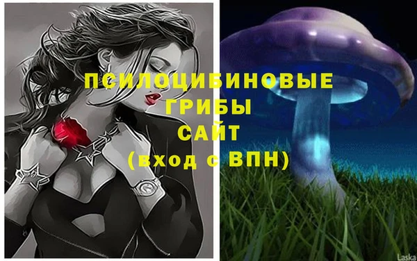 амфетамин Алексеевка